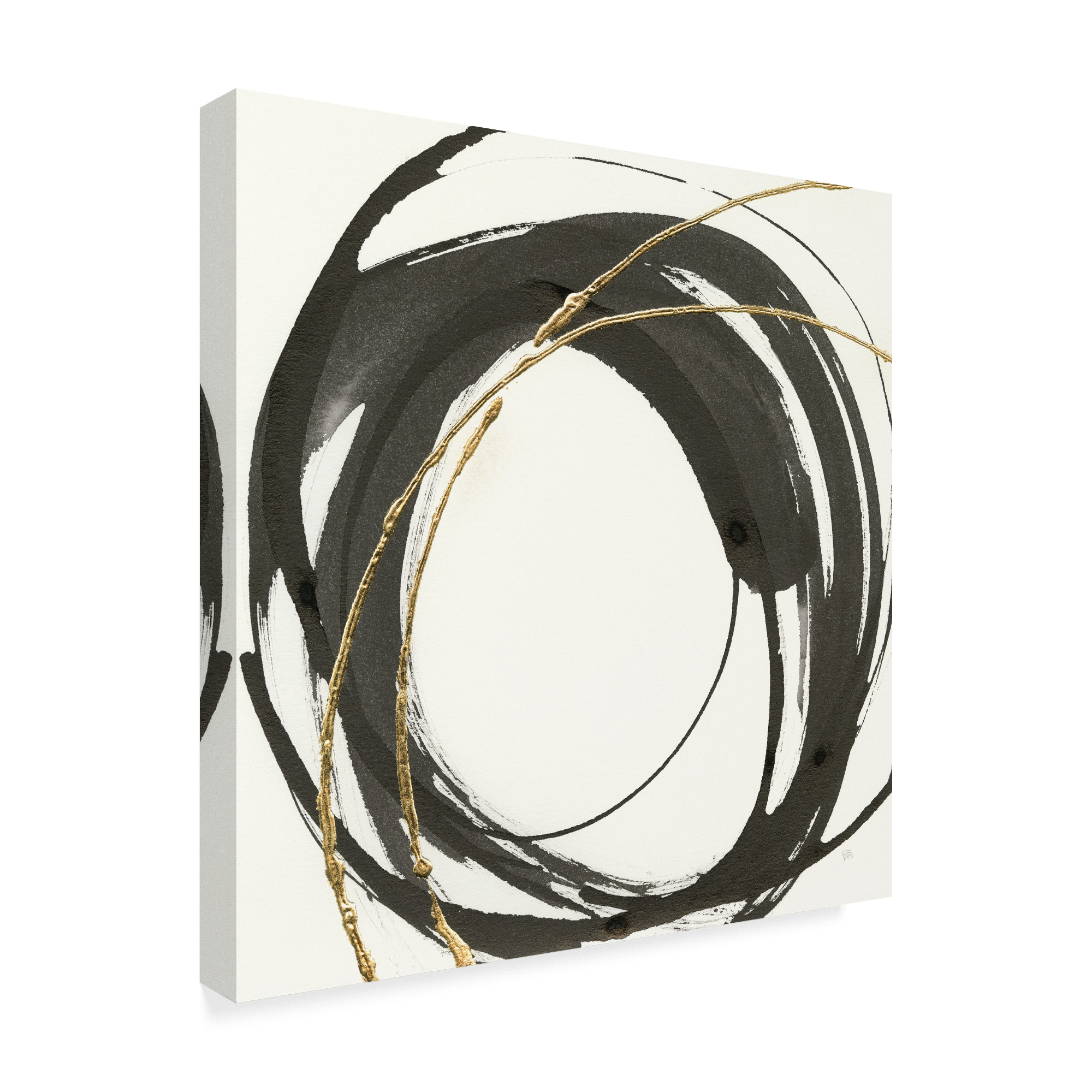 Trademark Fine Art 'Gilded Enso IV' Canvas Art by Chris Paschke