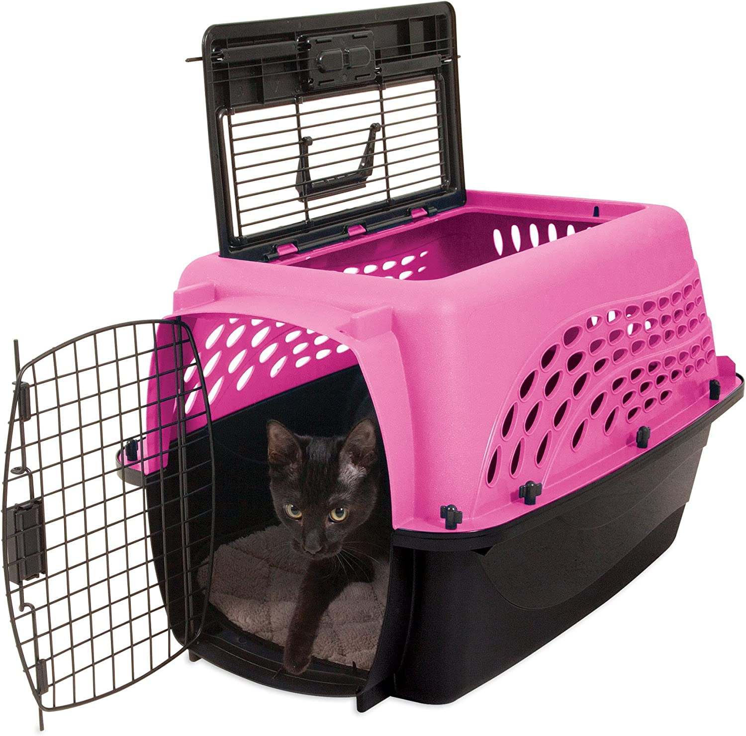 A Ride in the Jackson Galaxy Double Extendable Pet Carrier - Cats