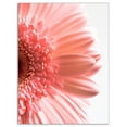 thumbnail image 2 of Grands Pétales de Fleurs de Marguerites Roses - Impression d'Art Floral sur Toile, 2 of 3