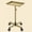 Gold, variant on odorsTT Pink 38.5'' H X 17.8'' W Utility Cart with Wheels, Salon Rolling Tray Height Adjustable, Premium Aluminum Salon Tray Used for Tattoo Tray, Salon Tool/Color Tray, Beauty Spa Tray