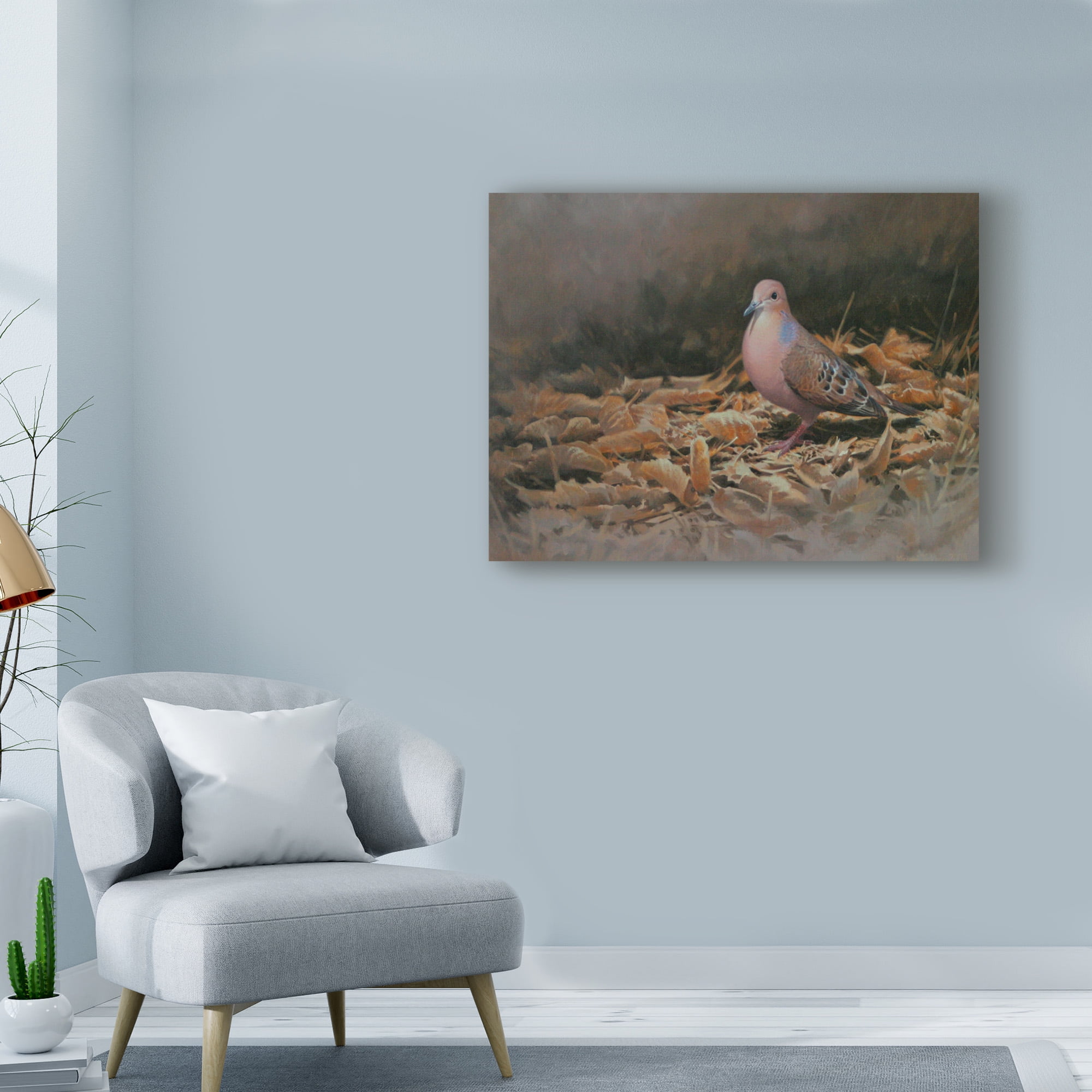 Trademark Fine Art 'Mourning Dove' Canvas Art by Michael Jackson