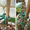 thumbnail image 4 of La abrazadera de jardín es una herramienta para sostener o enderezar tallos y enredaderas de plantas., 4 of 6