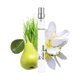 thumbnail image 1 of Perfume en spray de Rosie Jane Travel (Leila Lou), 10 ml, para mujer, 1 of 6