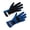 Blue, variant on Driving Gloves SFI 3.3/5 D/L Blue Small