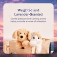 thumbnail image 4 of warmies 13” Golden Dog Stuffed Animal, Microwavable Heated Plushies and Weighted Soft Plush Toys, 4 of 7