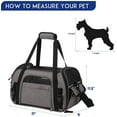 thumbnail image 3 of GOOPAWS Soft-Sided Dog & Cat Carrier Bag, Smoke Grey, 19'', 3 of 3