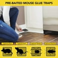 thumbnail image 3 of Harris HMG-4 Pre-Baited Mouse Glue Traps, Pack of 4, 3 of 6