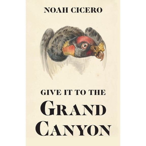 Give It to the Grand Canyon, (Paperback)