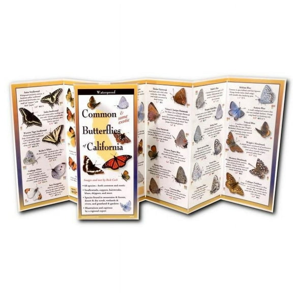 FoldingGuides: Common Butterflies of California (Other)