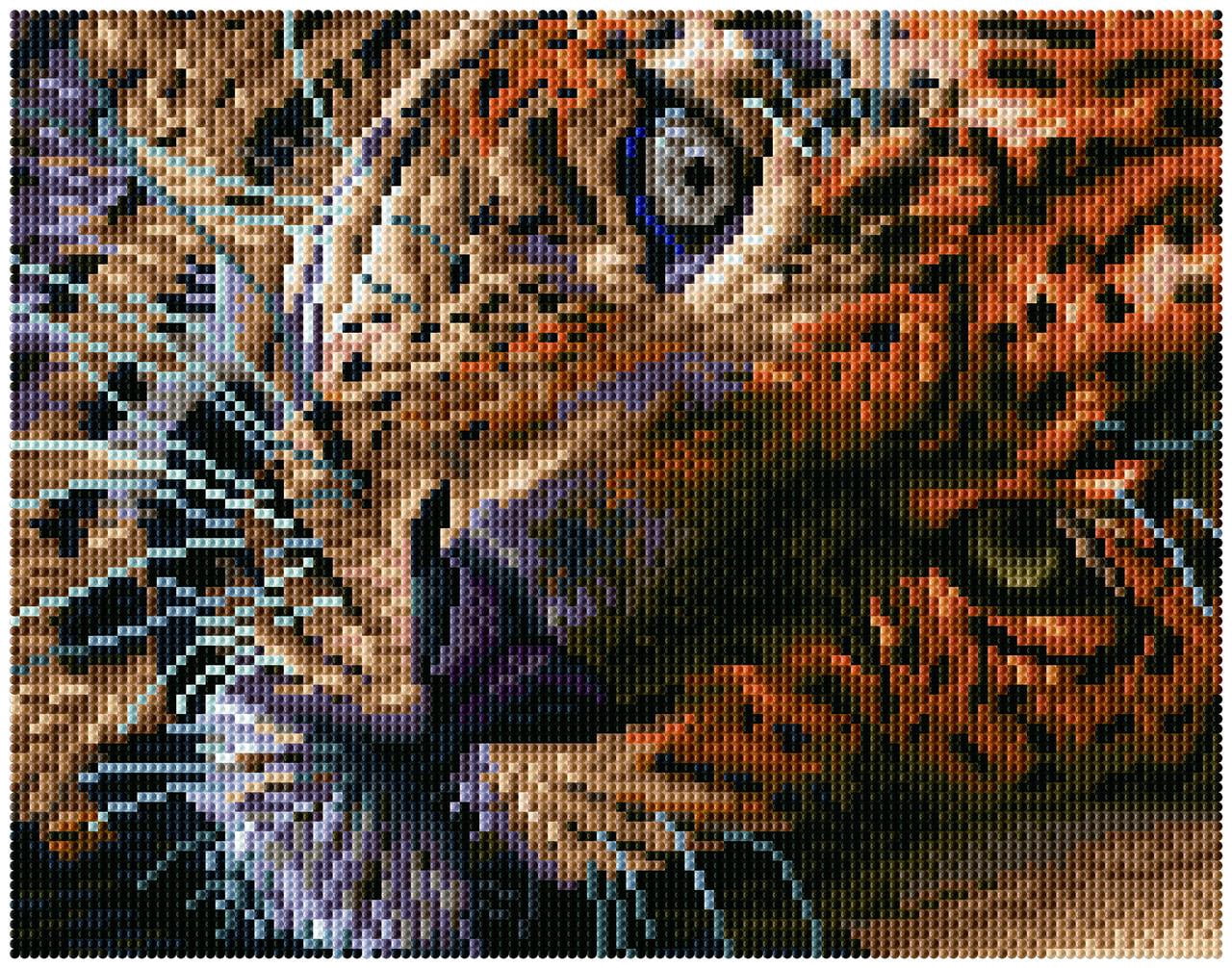 48e8442a-86d0-439d-a27e-