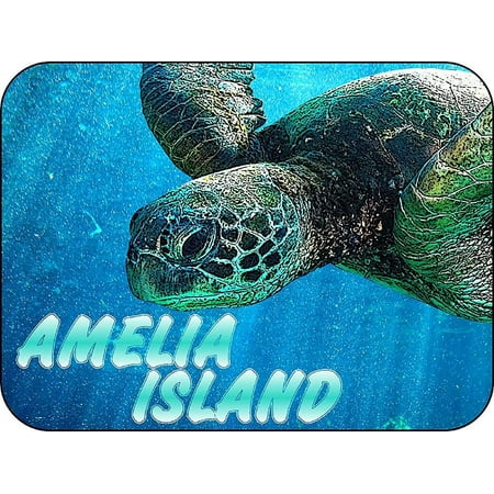 

Amelia Island with Sea Turtle Fridge Magnet