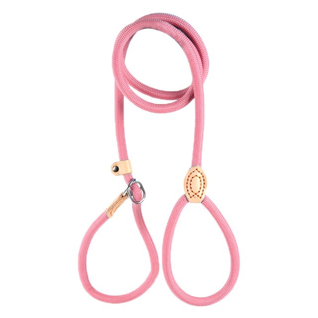 Slip Lead Dog Leash No Pull Heavy Duty Leash for Small Medium Large Dogs Strong Training Rope with Adjustable Stopper for Walking Hiking