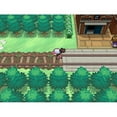 Nintendo Pokemon Black Version Game for DS