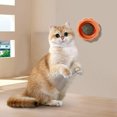 thumbnail image 3 of Catnip Balls That Stick To The Walls, Toys Pumpkin Peppermint Balls Licking Self Spinning Balls Teasing Toys Pet Supplies Catnip Ball For Cats Wall Kitty Toys For Cats Lick Safe Kit, 3 of 6