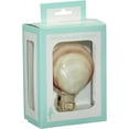 thumbnail image 3 of Tiger Clam Polished Natural Shell LED Night Light, 3 of 3