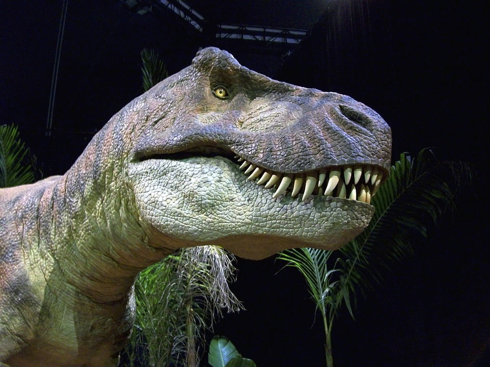 Dino Trex Tyrannosaurus Rex T-rex Dinosaur Reptile-20 Inch By 30 Inch Laminated Poster With