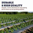 thumbnail image 6 of Harris Seeds Black Plastic Mulch Film for Agricultural Vegetable Plant, Moisture Retention, Insulation - 4' x 4000', 6 of 8