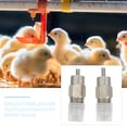 thumbnail image 4 of 2 bebederos prácticos para pollos, de acero inoxidable, con grifo para beber., 4 of 6