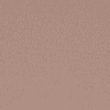 Sepia Rose