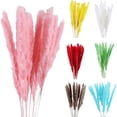 thumbnail image 1 of Photography Props,Small Dried Pampas Grass Small Dried Pampas Grass Phragmites Decoration Natural Small Pampas Grass Dried Flower Decoration Professionally Tested, 1 of 13