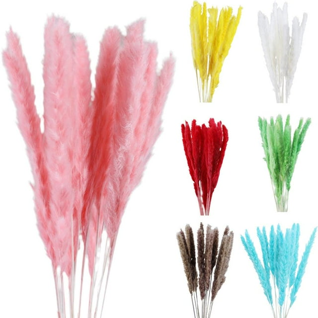 Accesorios de fotografía, Hierba de Pampa Seca Pequeña Hierba de Pampa Pequeña Natural Decoración de Flores Secas Hierba de Pampa Seca Pequeña Decoración de Fragmitas Impulsada por el Rendimiento