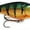 Perch, variant on Rapala Rattling & Suspending Shad Rap 05 Fishing Lure 2" 5/16oz Perch