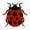1pcs, variant on Lil Ladybug Insect Art Vinyl Decal Sticker