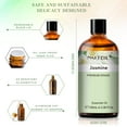 thumbnail image 3 of PHATOIL Jasmine Essential Oils Perfect for Aromatherapy, Humidifier, Spa Massage, Bath, 100ml/3.38 fl.Oz, 3 of 7