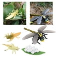 thumbnail image 3 of Juego de crecimiento de insectos para niños Sunnimix Material didáctico, 3 of 8