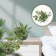 thumbnail image 1 of unbranded 1Ud Colgante Decorativo De Simulación De Rattan Verde Para Puertas Y, 1 of 6
