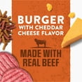 thumbnail image 4 of Purina Moist & Meaty Dry Dog Food, Soft Beef Burger with Cheddar Cheese, 6 oz Pouch (36 Pack), 4 of 12