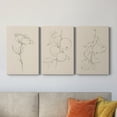 thumbnail image 2 of Floral Contour Study IV Premium Gallery Wrapped Canvas - Ready to Hang - 40 x 60 Each, 2 of 10