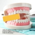 thumbnail image 1 of Mordida De Ortodoncia Silicona, Alineador Chewies Ortodoncia Mordida Ortodoncia Retenedor Dientes Corrección Dental Altamente Recomendado, 1 of 8
