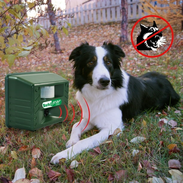 Amazon Com Petsole Anti Barking Device Barx Buddy Ultrasonic Dog Barking Deterrent 2 In 1 Bark Control Tool Pet Training Device Handheld Trainer And Dogs Silencer Stop Barking