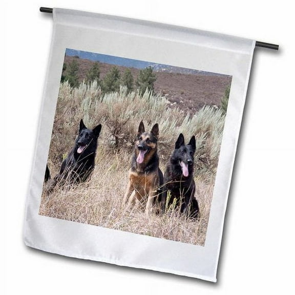 3dRose, Four German Shepherd dogs - US05 ZMU0320 - Zandria Muench Beraldo, 12 x 18 inch Garden Flag