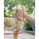 thumbnail image 4 of Poncho impermeable y cortavientos CHAO para perro y cachorro talla M rosa, 4 of 5