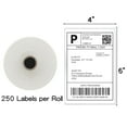 thumbnail image 2 of FungLam Thermal Labels, 4 inch x 6 inch, 250 Labels per Roll (2 Rolls), 2 of 8