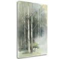 thumbnail image 1 of Tangletown Fine Art 'Birch Grove II' Print on Wrapped Canvas, 1 of 2