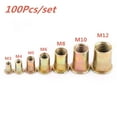 thumbnail image 2 of 100 Pcs/Ensemble M3 M4 M5 M6 M8 M10 M12 Écrous Rivets Outils en Acier Inoxydable Crânes Inserts Rivets Multi Tailles, 2 of 5