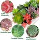 thumbnail image 3 of 20 piezas de plantas suculentas artificiales sin maceta, mini suculentas falsas flocadas, suculentas artificiales realistas, suculentas falsas surtidas, mini plantas falsas F, 3 of 5