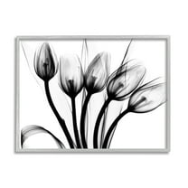 Stupell Industries Modern Tulip Blossom Abstract Monochrome Silhouette Photography Gray Framed Art Print Wall Art, 30x24, by Albert Koetsier
