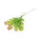 thumbnail image 4 of Decoración de Plantas Artificiales Suculentas de Simulación de 1 Pieza para Casa, Jardín, , Casa 5pcs 6 los 12cm BLESIY Plantas Suculentas de Simulación, 4 of 8