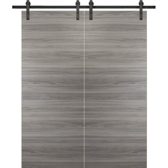 Sliding Double Barn Doors 60 x 84