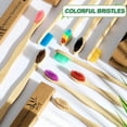 thumbnail image 5 of Mistayd Biodegradable Bamboo Toothbrushes. 10 Piece BPA Free Soft Bristles Toothbrushes. Natural. Eco-Friendly. Green and Compostable (Multicolored Bristles), 5 of 5
