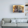 thumbnail image 3 of Canvas Wall Art - Delene Lambert 'The Big Five' Wall Art for Living Room, Bedroom, or Office Décor by Trademark Fine Art - 24 x 16 Inches, 3 of 4