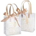 thumbnail image 1 of FFIY Small Gift Bags Bulk, 4 Pcs 5.3x2.7x5.9" Frosted Plastic Clear Gift Bags with Handles Small Reusable Gift Bags for Wedding, Birthday, Valentines, with Champagne Color Paper Filler and Ribbon, 1 of 6