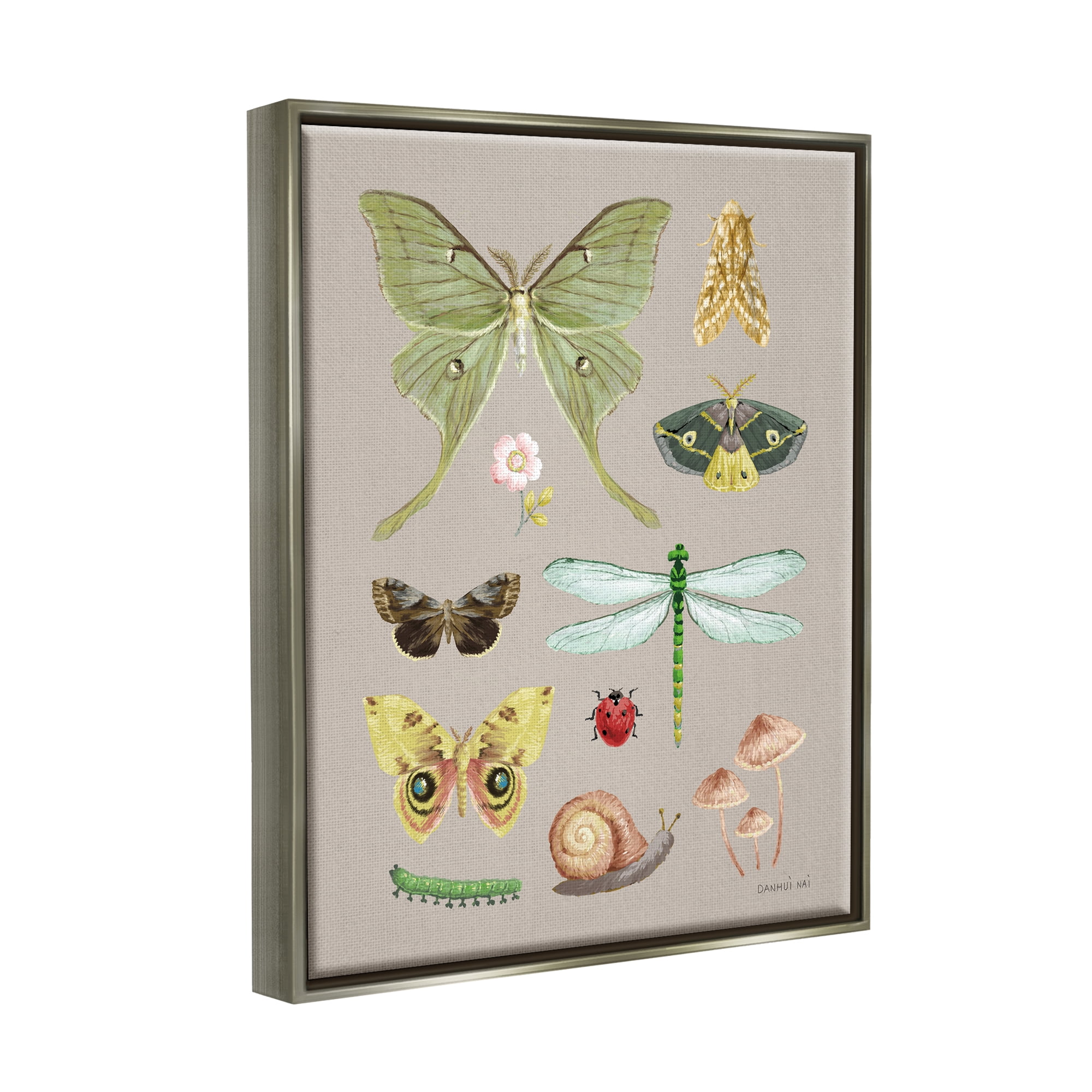 Stupell Industries Various Insect Studies Animals & Insects Painting Gray Floater Framed Art Print Wall Art, 17 x 21