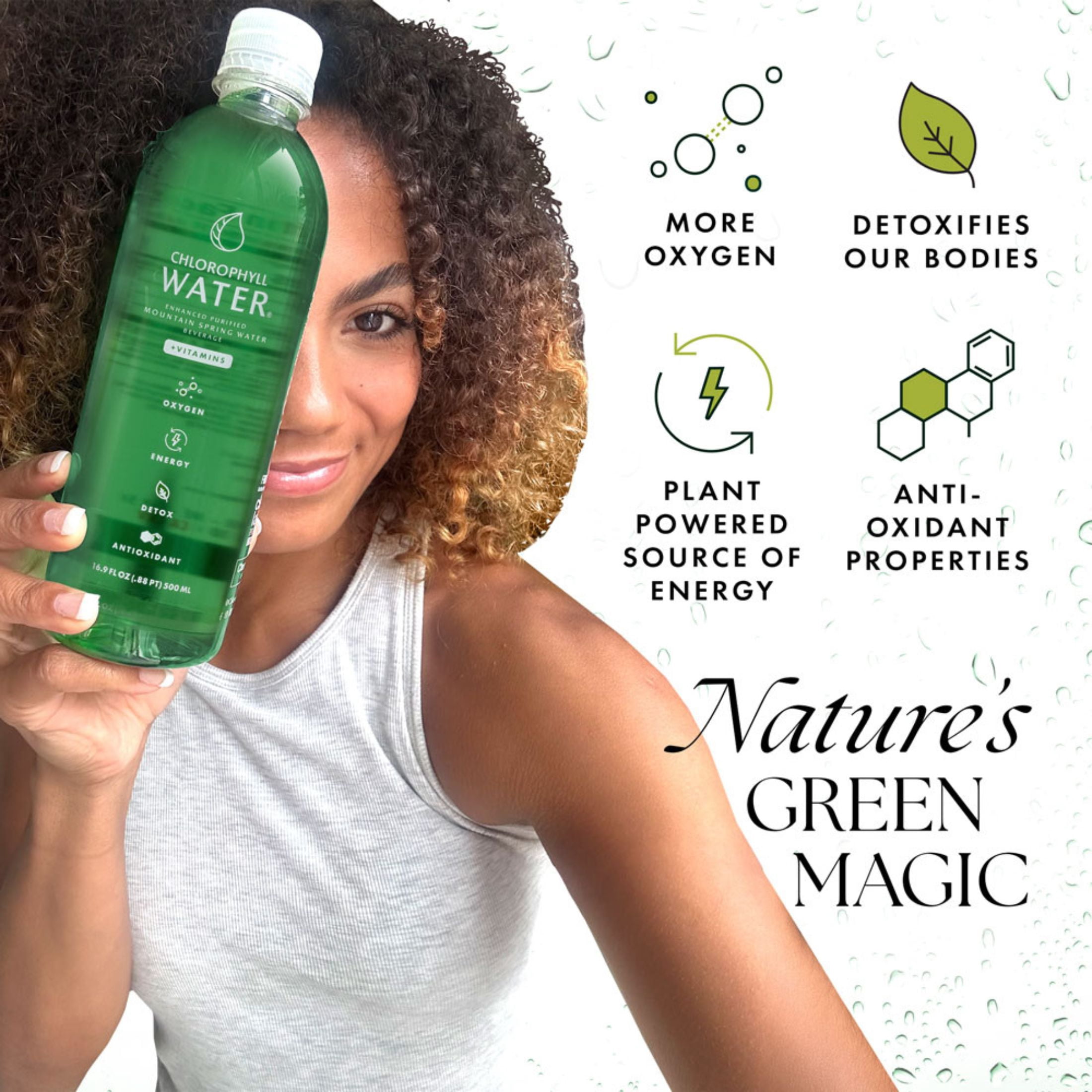 (12 pack) Chlorophyll Water in Purified Water Bottle, Plant-Based Vitamin Water, 16.9 fl oz Single Bottle