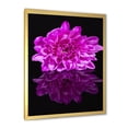thumbnail image 2 of Designart 'Single Purple Chrysanthemum Flower On Black Reflection' Traditional Framed Art Print, 2 of 4