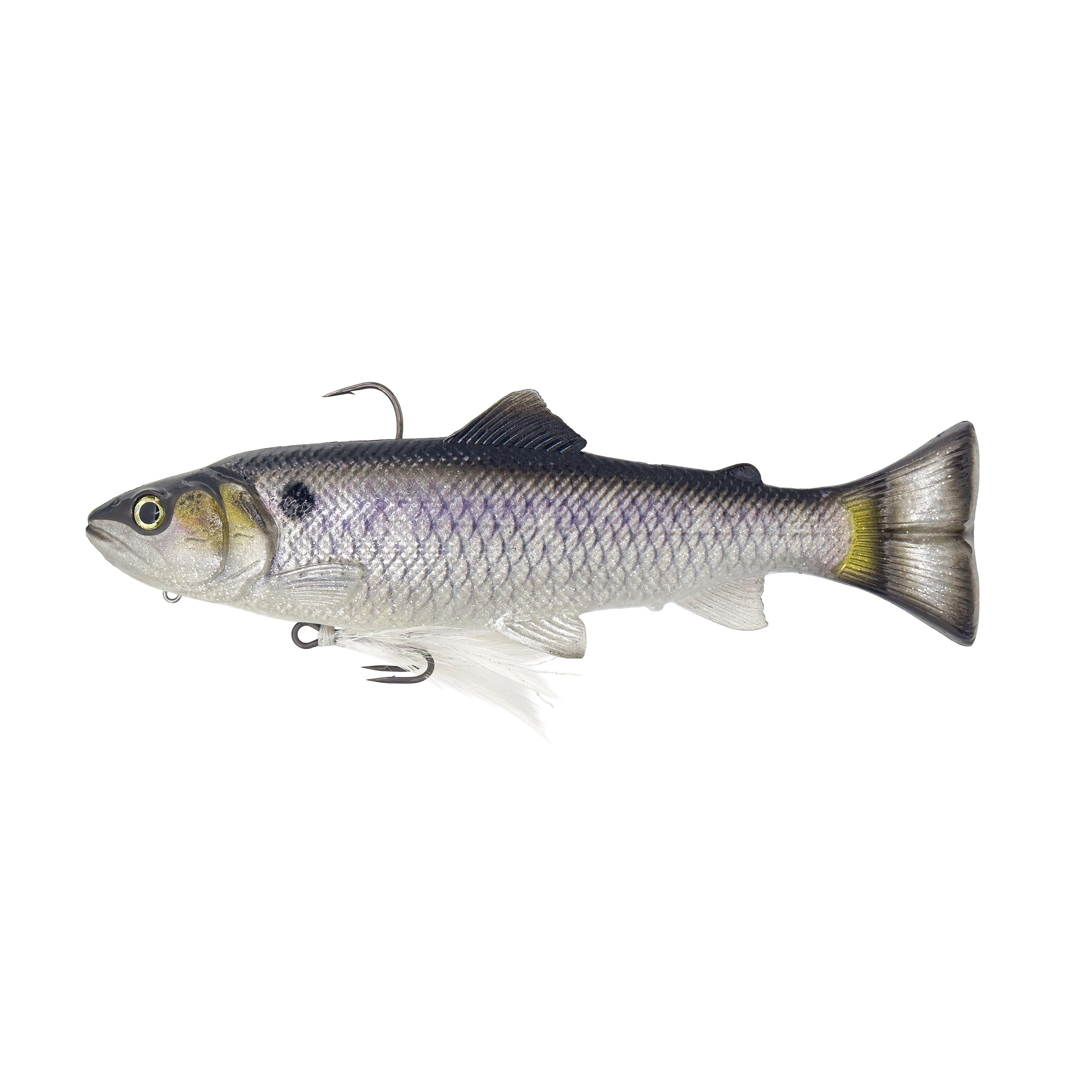 Savage Gear 3D Line Thru Pulse Tail Trout Pro, 8 in, American Shad